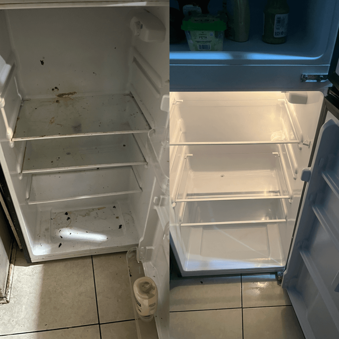 Add on Fridge cleaning